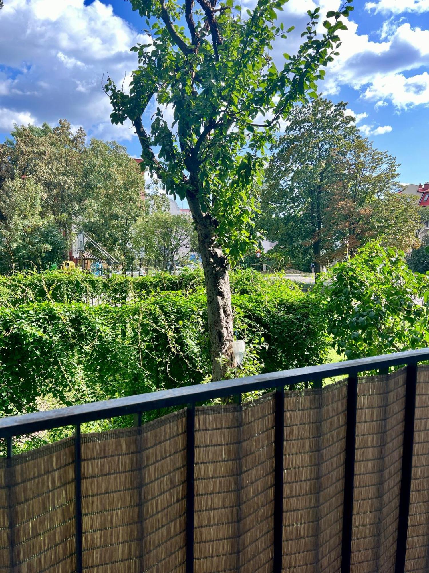 M&S Lux Apartments Kochanowskiego 罗兹 外观 照片