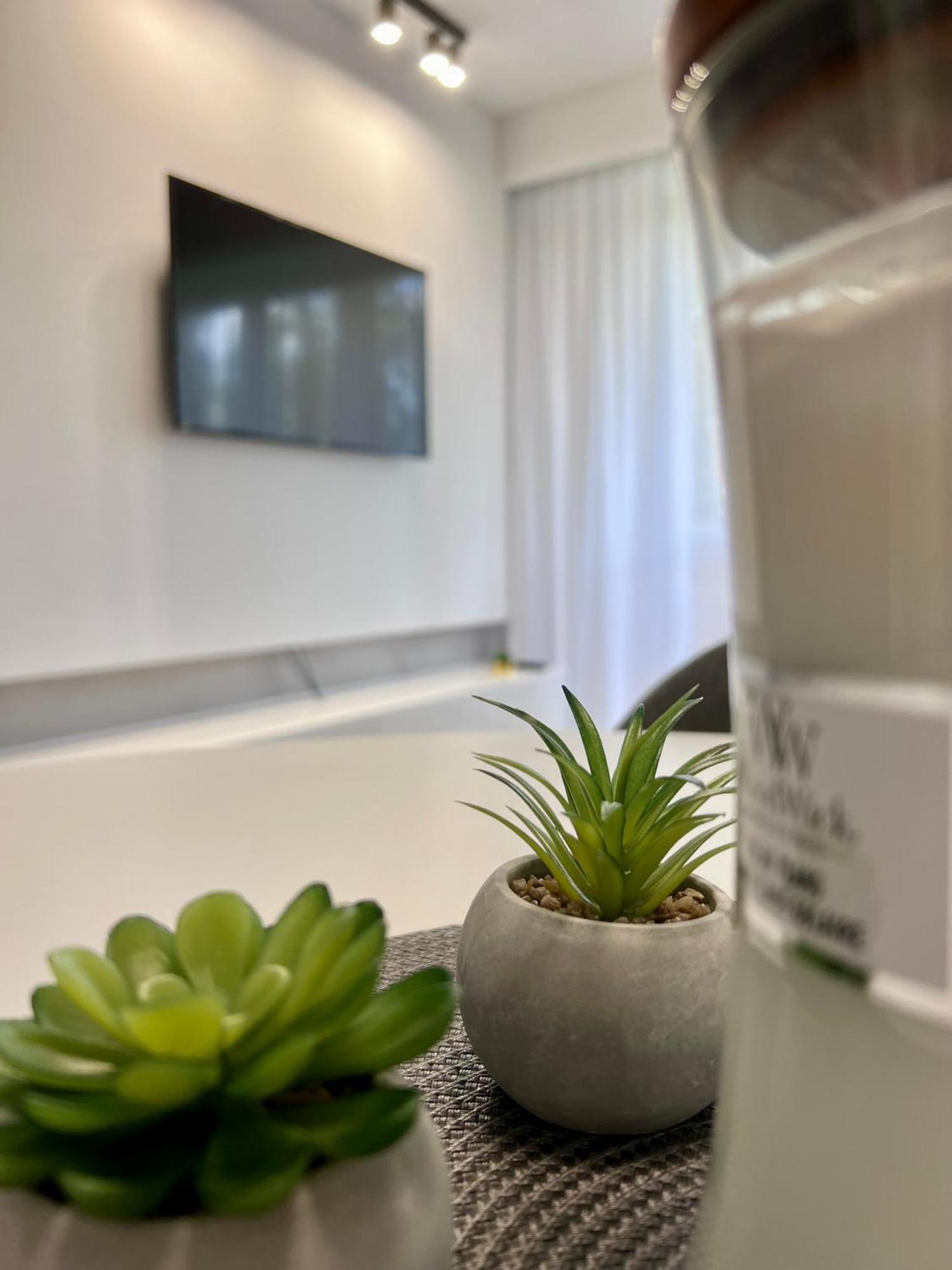 M&S Lux Apartments Kochanowskiego 罗兹 外观 照片